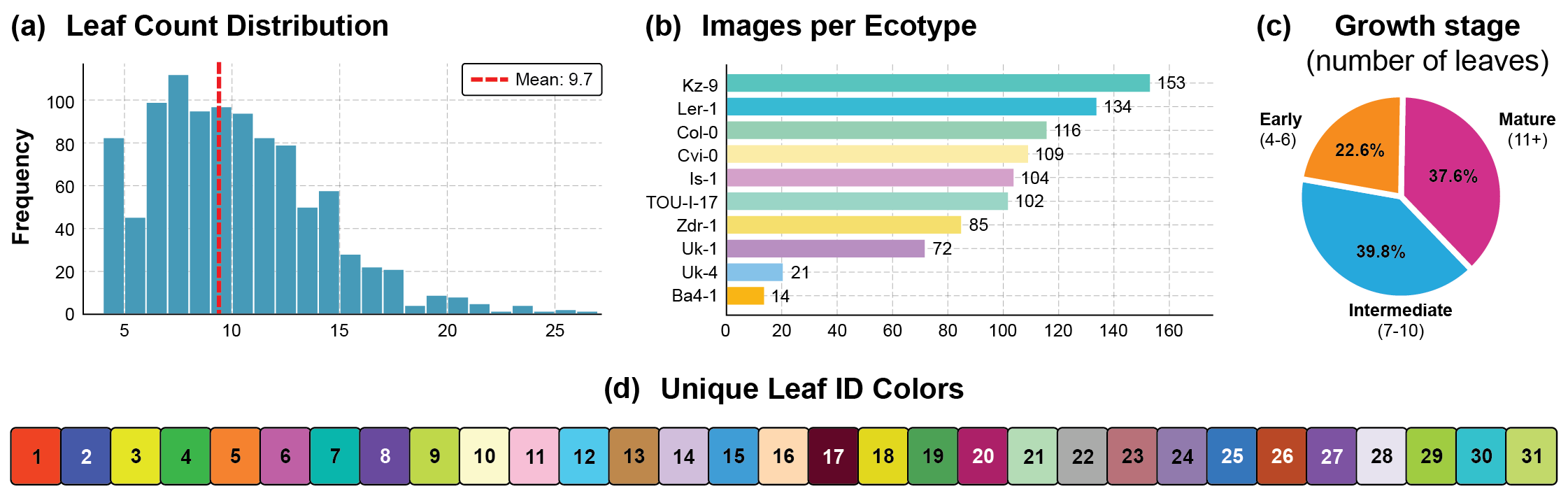 Dataset statistics: leaf-count distribution, images per genotype, growth-stage distribution, and the 31-colour annotation palette.